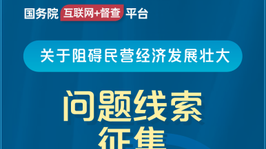 人妖肛门娼妇国务院“互联网+督查”平台公开征集阻碍民营经济发展壮大问题线索